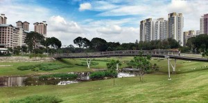 Thomson Impressions Near Bishon Park
